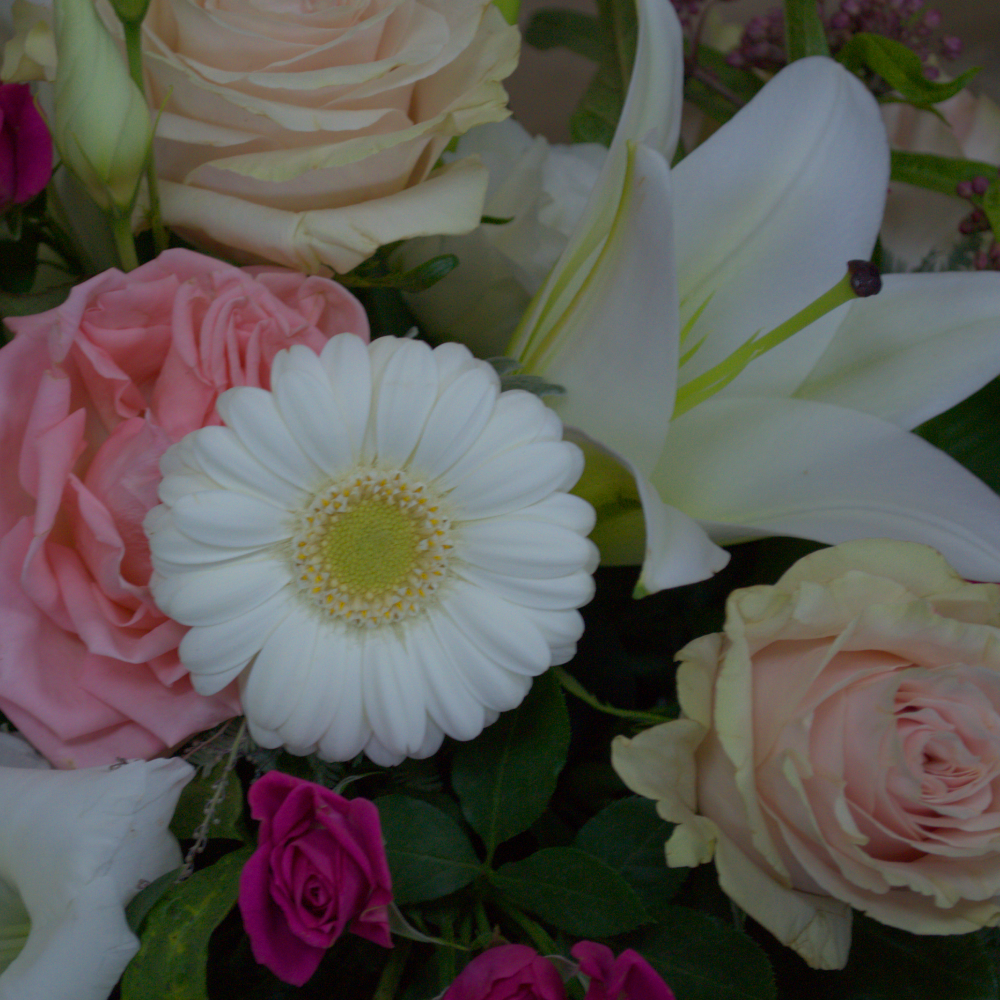 Pink and Ivory Single ended spray - Quality Flowers from Ann's Flowers - Just £37.95! Shop now at Ann's Flowers