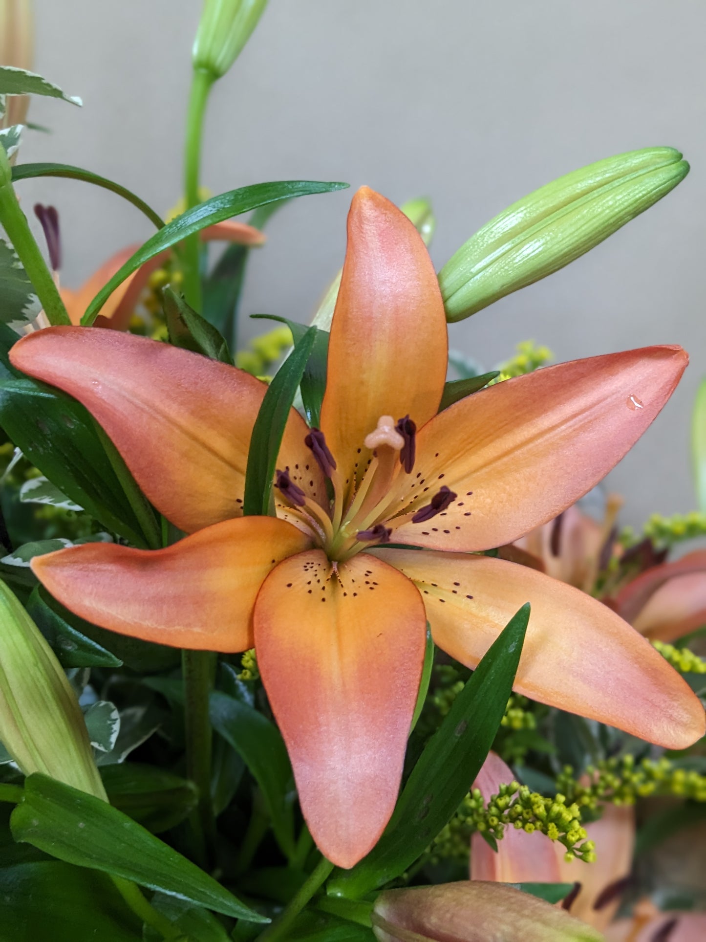 Simply Lily bouquet - Quality Flowers from Ann's Flowers - Just £29.95! Shop now at Ann's Flowers