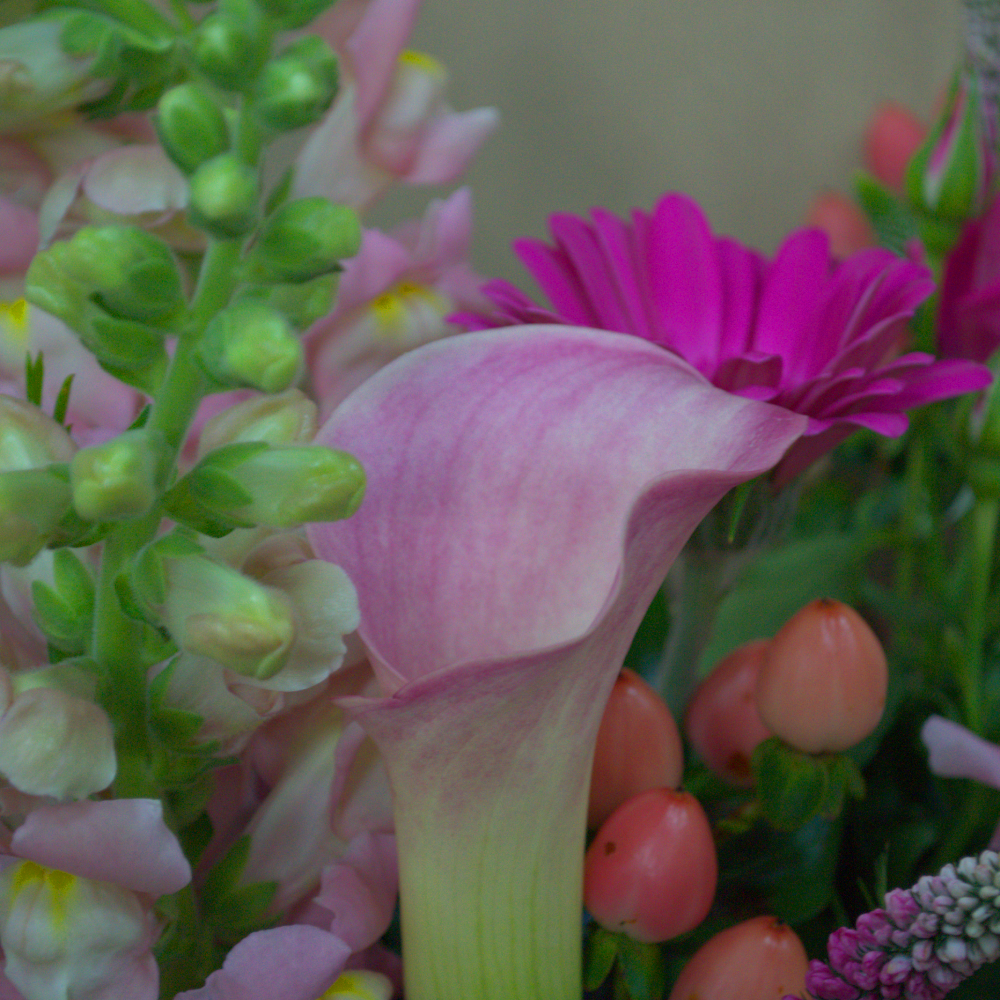 Guten Morgan - Quality Flowers from Ann's Flowers - Just £34.95! Shop now at Ann's Flowers