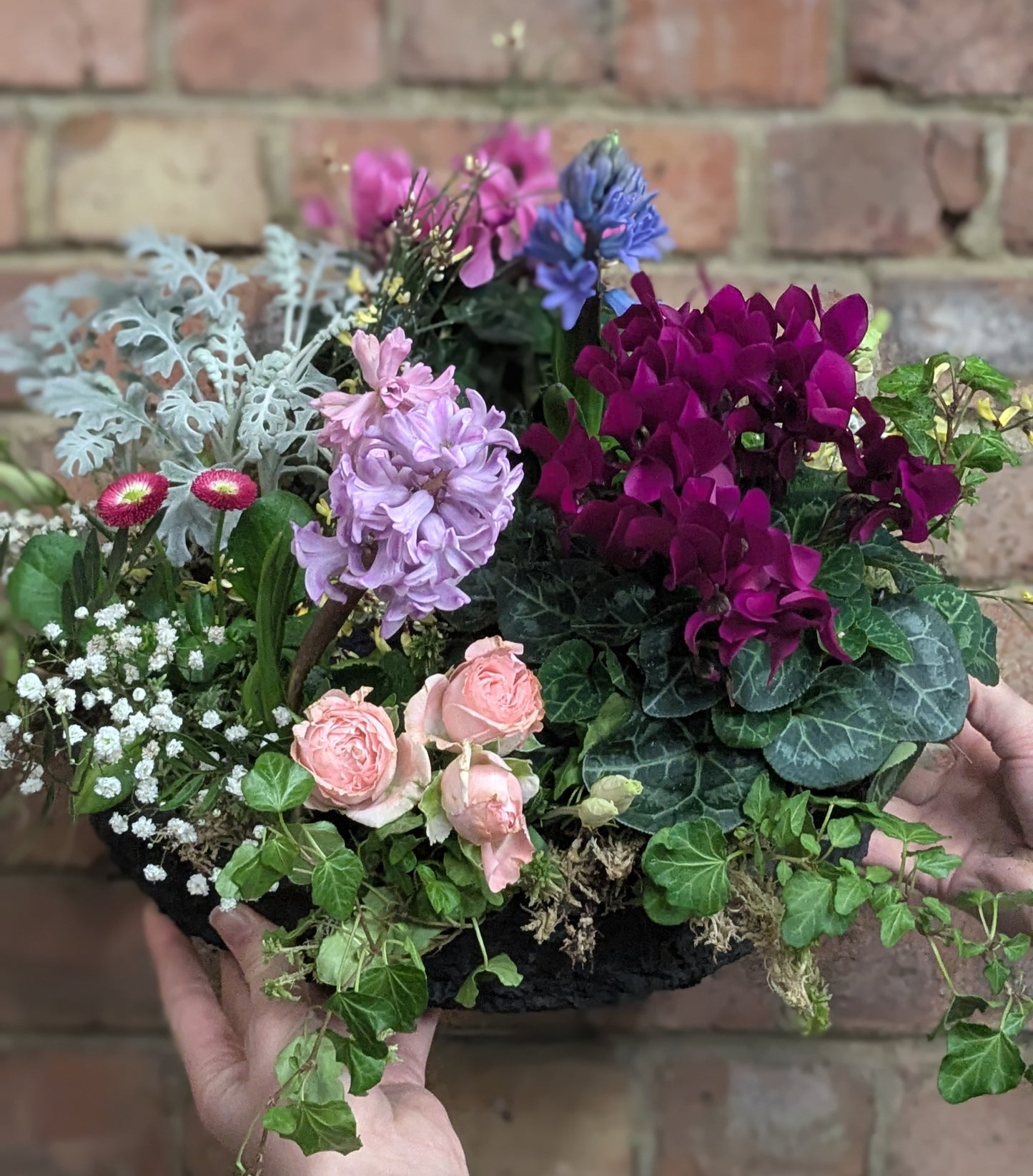 Living Wreath - Quality Flowers from Ann's Flowers - Just £45! Shop now at Ann's Flowers