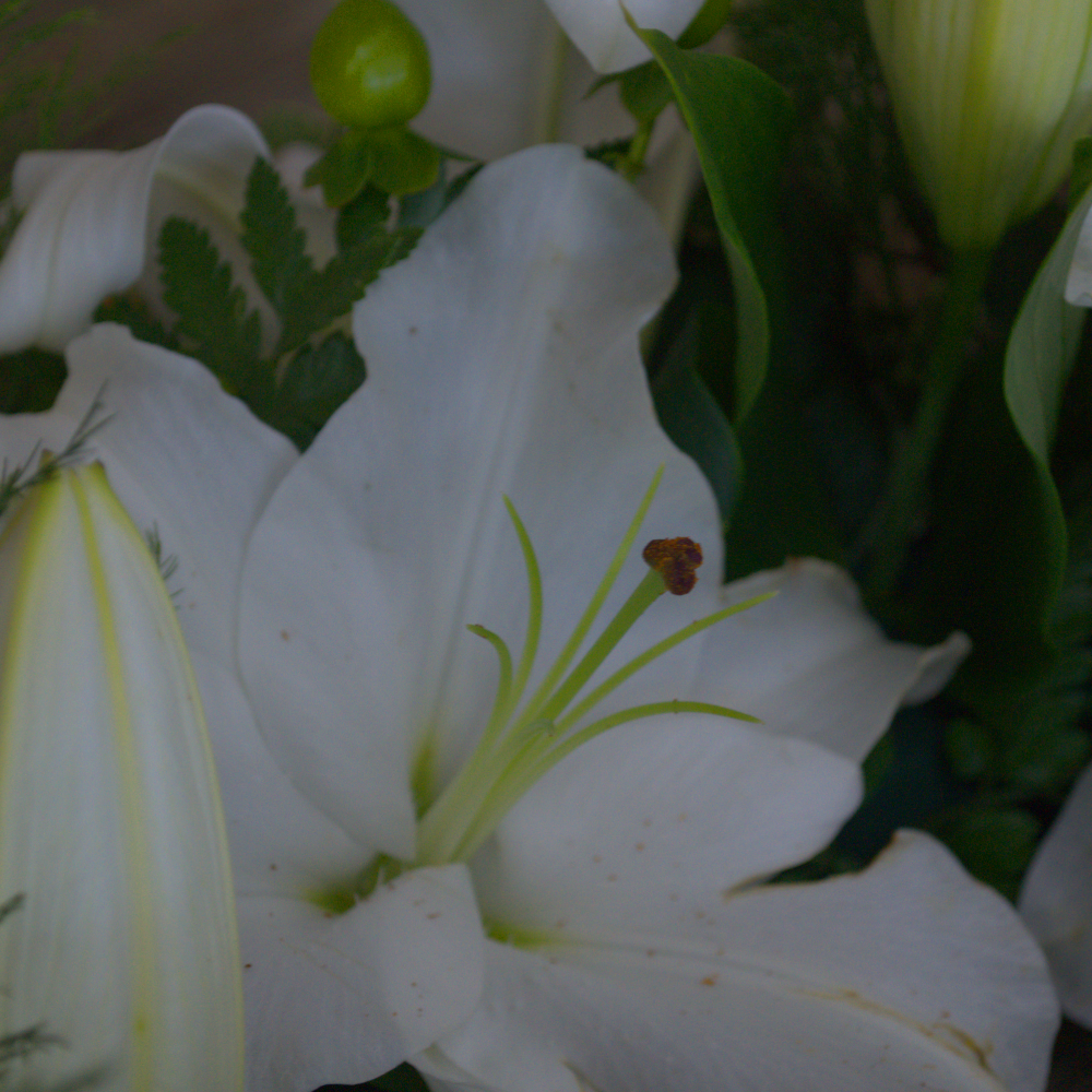 Lily Wreath - Quality Flowers from Ann's Flowers - Just £60! Shop now at Ann's Flowers