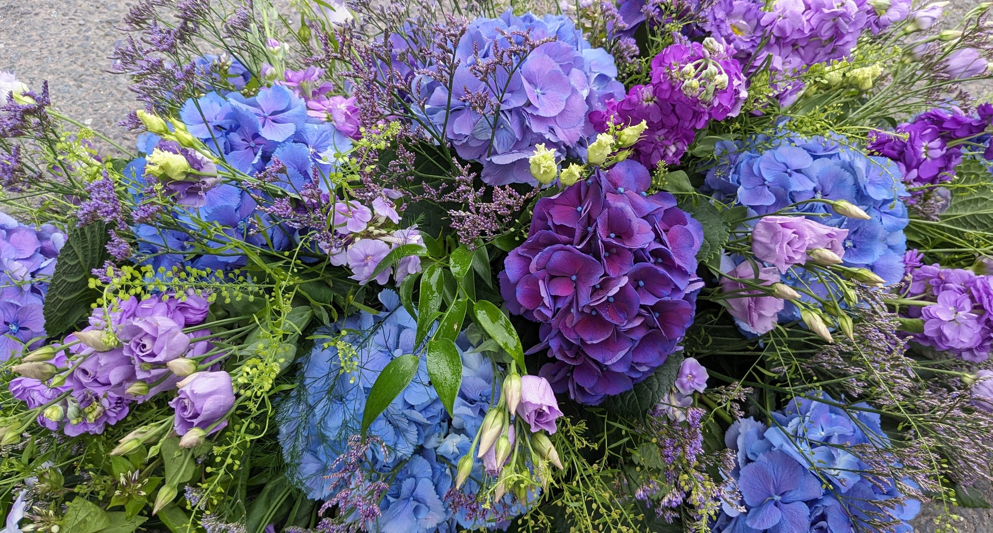 Hydrangea Casket tribute - Quality Flowers from Ann's Flowers - Just £175! Shop now at Ann's Flowers