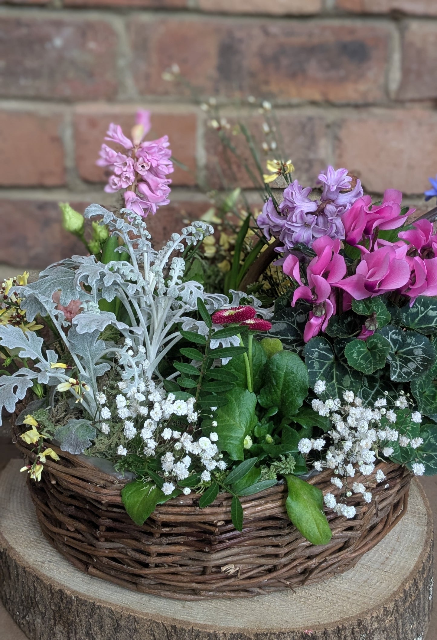 Living Wreath Basket - Quality Flowers from Ann's Flowers - Just £45! Shop now at Ann's Flowers