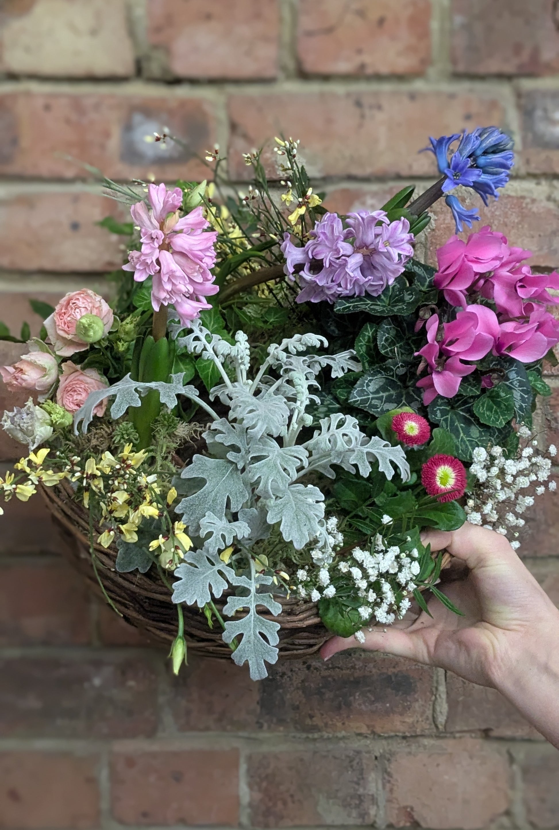 Living Wreath Basket - Quality Flowers from Ann's Flowers - Just £45! Shop now at Ann's Flowers